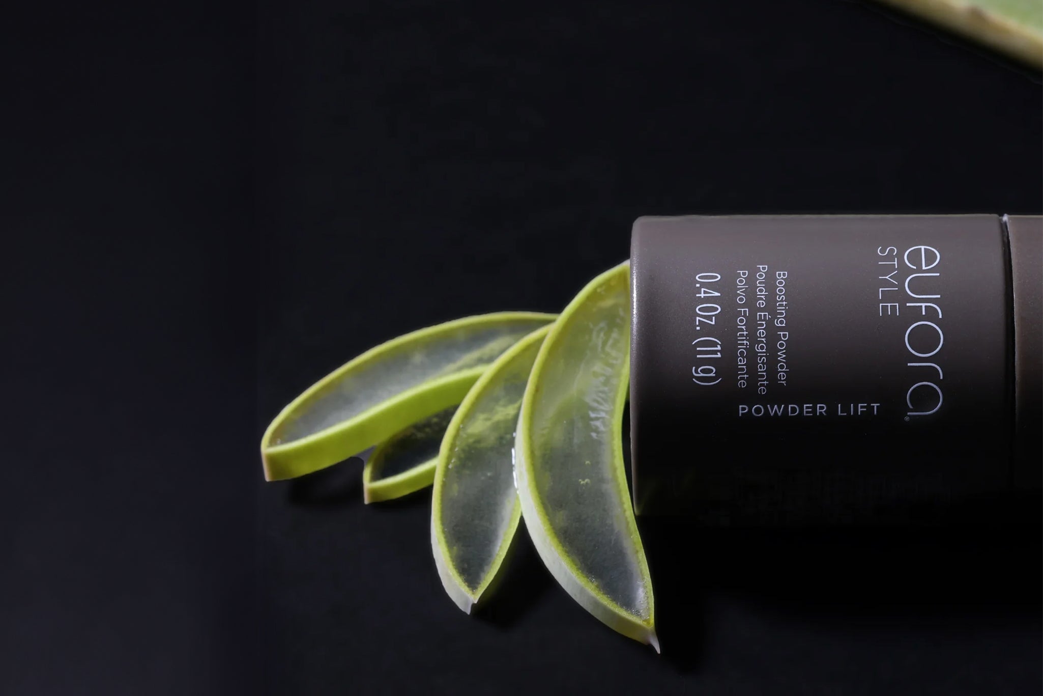 スタイル – eufora